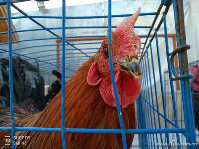 360手机N6全面评测:骁龙630处理器与5000mAh电池的续航表现 360手机N6全面评测:骁龙630处理器与5000mAh电池的续航表现
