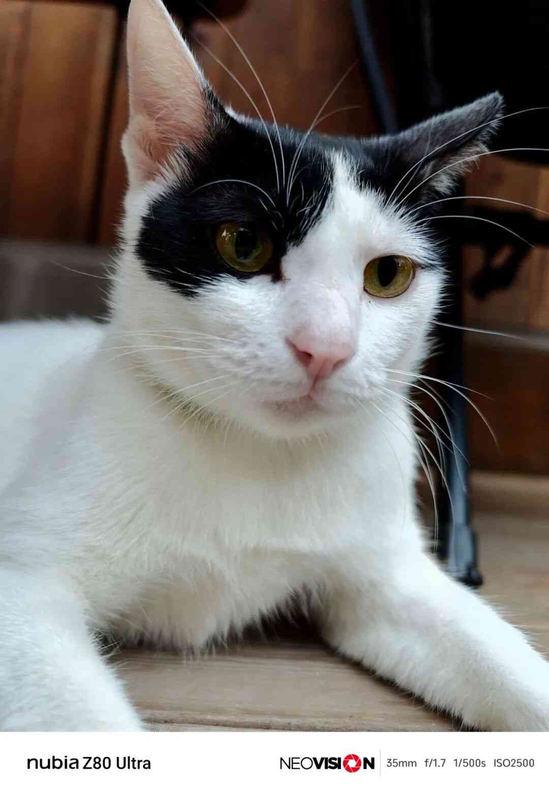 努比亚手机怎么样?用了几天努比亚新手机,我觉得这回真能买了 努比亚手机怎么样?用了几天努比亚新手机,我觉得这回真能买了