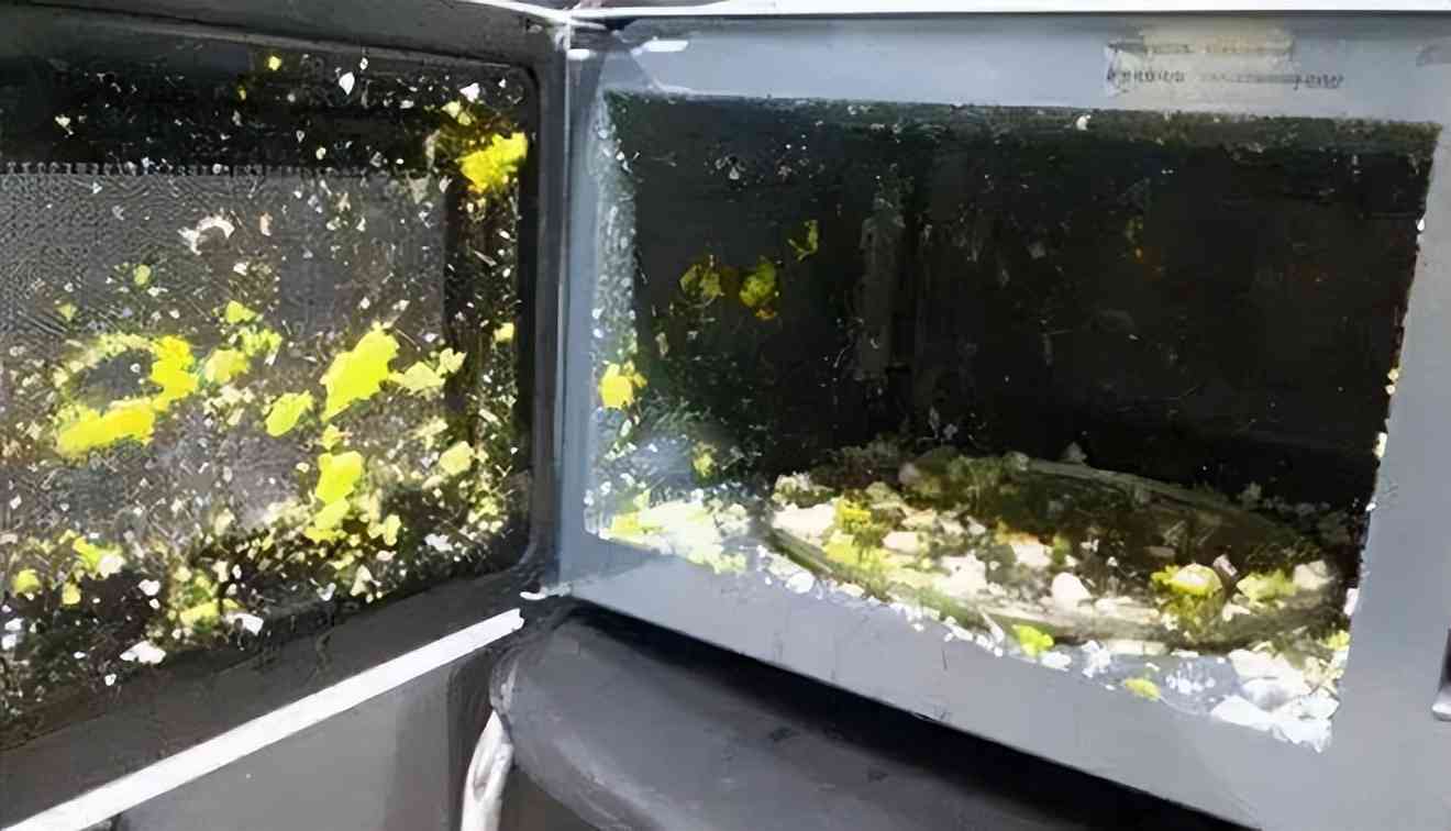 格兰仕微波炉怎么样?微波炉哪个牌子好用质量好?2023最建议买的三个品牌口碑公认 格兰仕微波炉怎么样?微波炉哪个牌子好用质量好?2023最建议买的三个品牌口碑公认