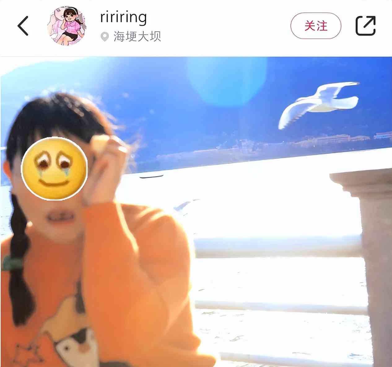 索尼w610怎么样 喂过一次大连海鸥，人类就要为自己的弱小羞愧