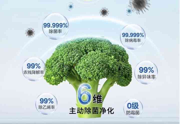 东芝冰箱质量怎么样？东芝冰箱是进口的吗？哪些型号性价比高？
