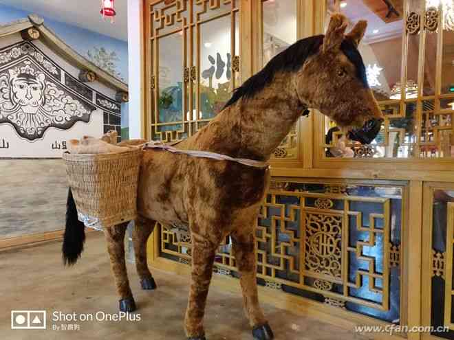 一加6全面评测：3199元起是否值得入手？