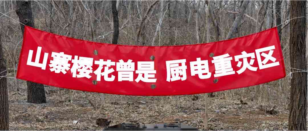 好太太油烟机质量评估与山寨厨电品牌市场洞察 好太太油烟机质量评估与山寨厨电品牌市场洞察