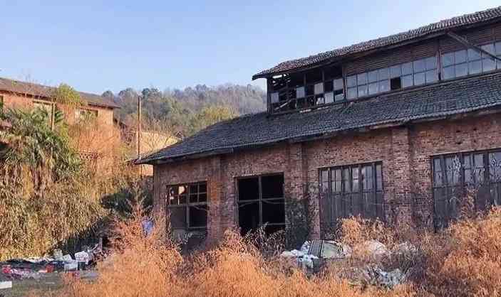 夏普厂怎么样 夏普厂怎么样