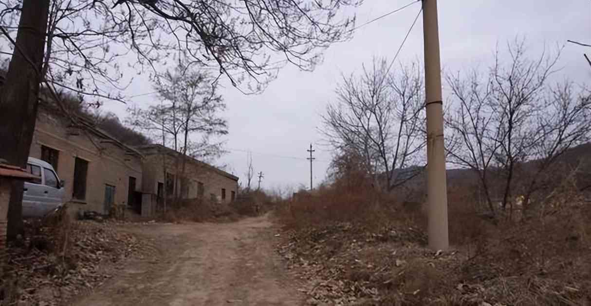 夏普厂怎么样 夏普厂怎么样