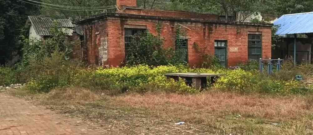 夏普厂怎么样 夏普厂怎么样