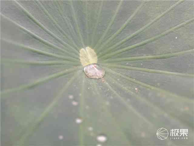 荣耀8手机怎么样