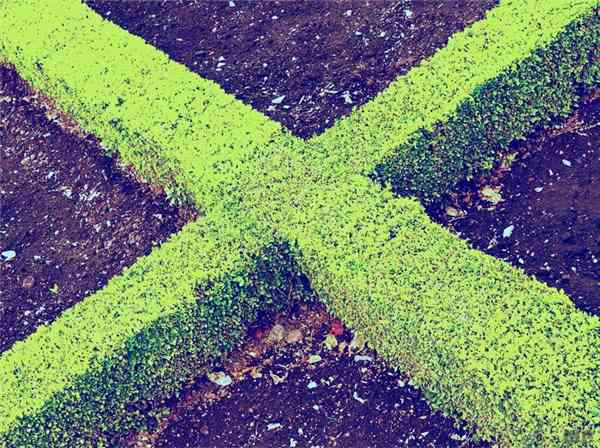 现实与生活：多维度的探索