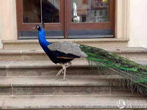 成熟的同时需要进化：OPPO R9使用评测