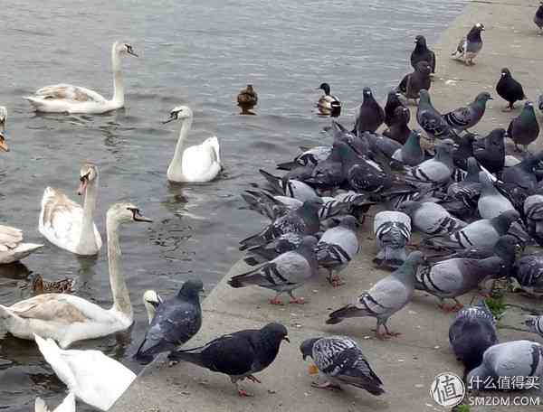 成熟的同时需要进化：OPPO R9使用评测