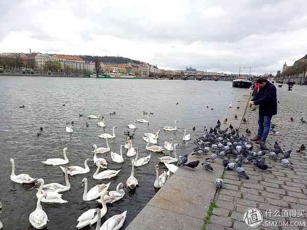成熟的同时需要进化：OPPO R9使用评测