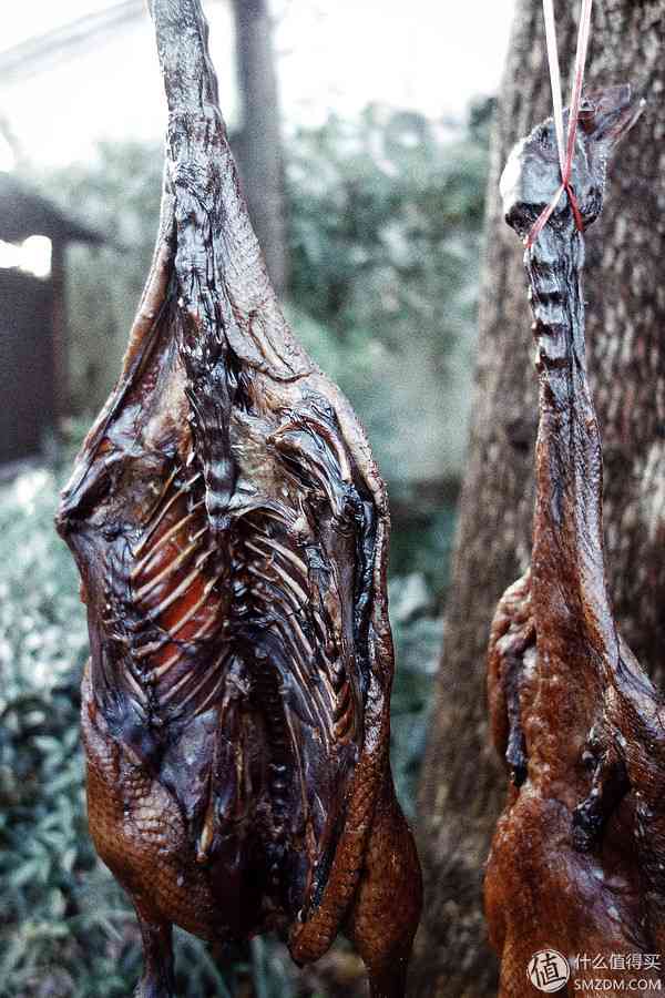 索尼RX100怎么样？也谈谈自己使用的SONY索尼DSC-RX100黑卡数码相机